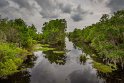 103 Jean Lafitte NP
